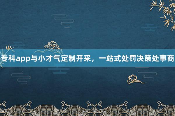 专科app与小才气定制开采，一站式处罚决策处事商