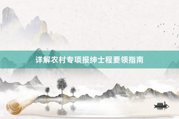 详解农村专项报绅士程要领指南